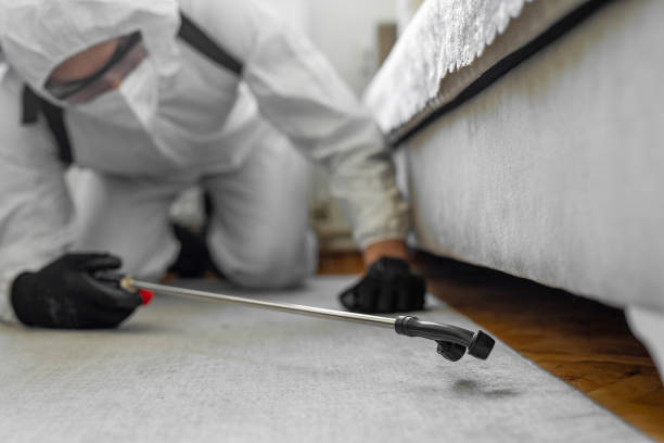 Professional Termite Control technician working in Searingtown, NY